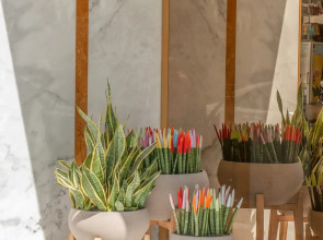 Rhodos Horizon Boutique