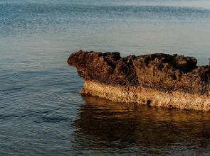 Cavo Zoe Seaside Hotel