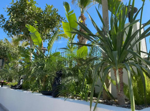 Primus Alacati Adult Only