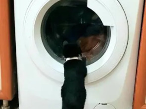 Тапок Хостел