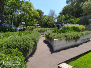 Отель Il Cantico St. Peter