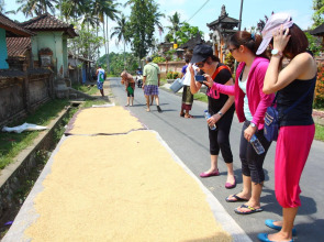 BeingSattvaa Luxury Ubud