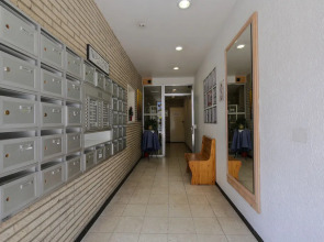 Budget Flats Antwerpen