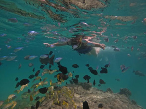 Blue Water Thoddoo Inn