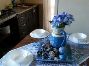 Guest House Diogrina