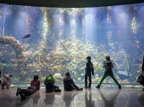 ibis Antwerpen Centrum