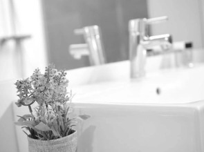 Отлеь Arrizul Congress