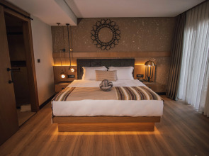 Отель Panagia Premier Trabzon