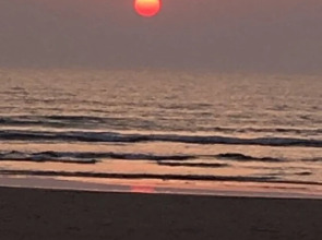 Casa Obrigado Beach Cottages Goa