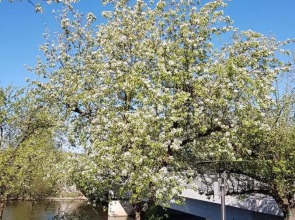 Hotel und Gasthof Ritter St. Georg