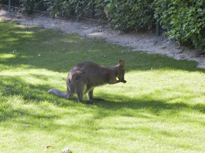 Hotel Jardin Des Plantes