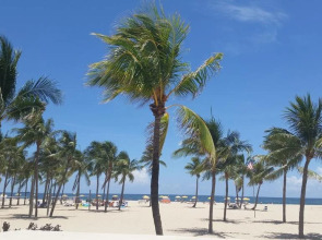 Sea Beach Plaza - Near Jungle Queen Riverboat