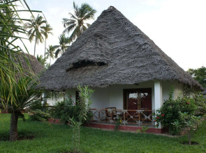 Jaz Adonia Beach Resort