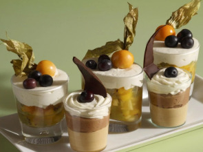 Sheraton Paris Charles de Gaulle Airport Hotel