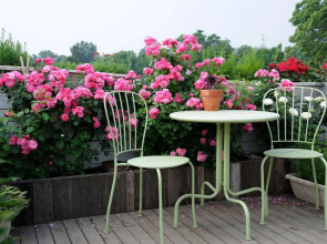 Peking International Youth Hostel