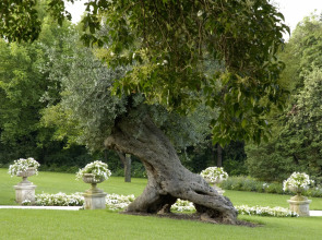 Byblos Art Hotel Villa Amista