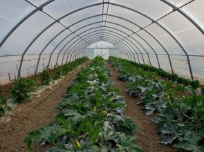 Agriturismo Arte Contadina