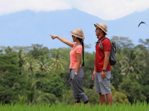 The Udaya Resorts and Spa