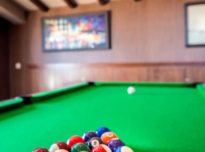 The Olive Tree Hotel