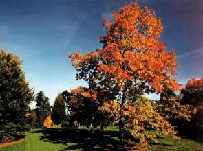West Lodge Park Hotel