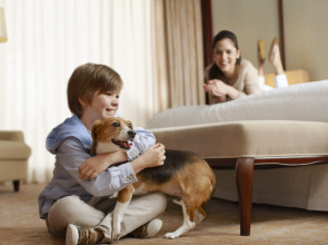 Sheraton Grand Rio Hotel & Resort