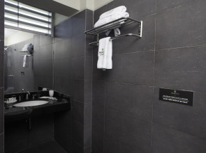 Palmetto Hotel Business San Miguel