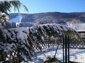 Boutique hotel Pohorje