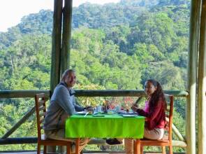 Gorilla Hills Eco Lodge