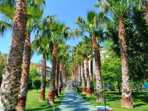 Gardenia Beach Hotel - All Inclusive