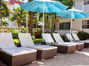 Coral Reef at Key Biscayne