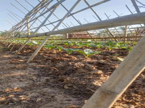 Venice Krabi Villa Resort