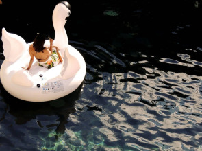 Swiss-Belhotel Rainforest