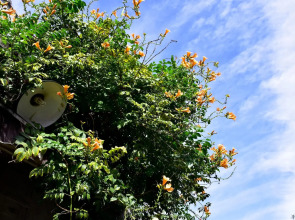 Peking International Youth Hostel