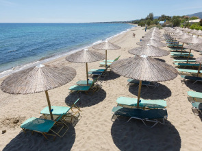 Golden Coast Hotel & Bungalows - All Inclusive