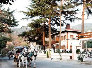 Nizam Butik Otel Buyukada