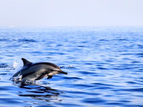 Puri Saron Baruna Beach Cottages