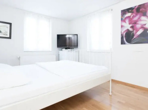 Swiss Star Guesthouse District 4