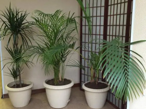 Мини-отель 5rooms