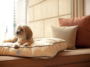 Grand Hyatt Sao Paulo