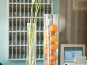 Hotel Senator München