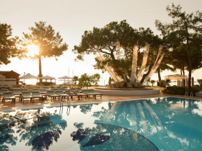 Robinson Camyuva - Adults only