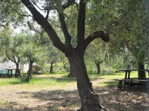 Residence Il Borgo degli Ulivi Resort