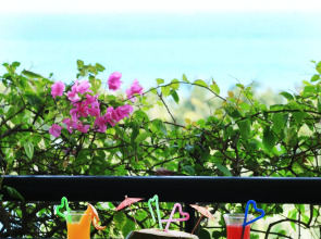 Palm Beach Resort And Spa