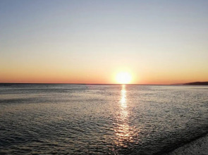 Forest Club (Форест Клаб)