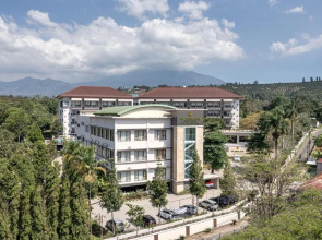 The Green Peak, ARTOTEL Curated