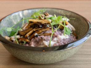 Novotel Miami Brickell 