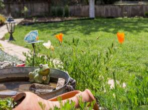 2 Bedroom Apartment in Dafinka Guest House