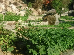 Wild Beach Resort & Spa Nha Trang