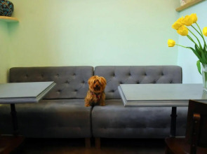 Хостел и турагентство MGA