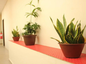 Paretto Seaview Hotel